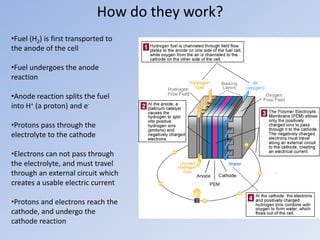 How do they work?
•Fuel (H2) is first transported to
the anode of the cell
•Fuel undergoes the anode
reaction
•Anode reaction splits the fuel
into H+ (a proton) and e-
•Protons pass through the
electrolyte to the cathode
•Electrons can not pass through
the electrolyte, and must travel
through an external circuit which
creates a usable electric current
•Protons and electrons reach the
cathode, and undergo the
cathode reaction
 