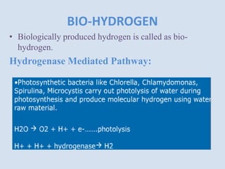 BIO-HYDROGEN
• Biologically produced hydrogen is called as bio-
hydrogen.
Hydrogenase Mediated Pathway:
 