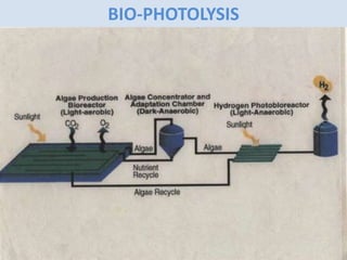 BIO-PHOTOLYSIS
 