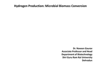 Hydrogen Production: Microbial Biomass Conversion
Dr. Naveen Gaurav
Associate Professor and Head
Department of Biotechnology
Shri Guru Ram Rai University
Dehradun
 