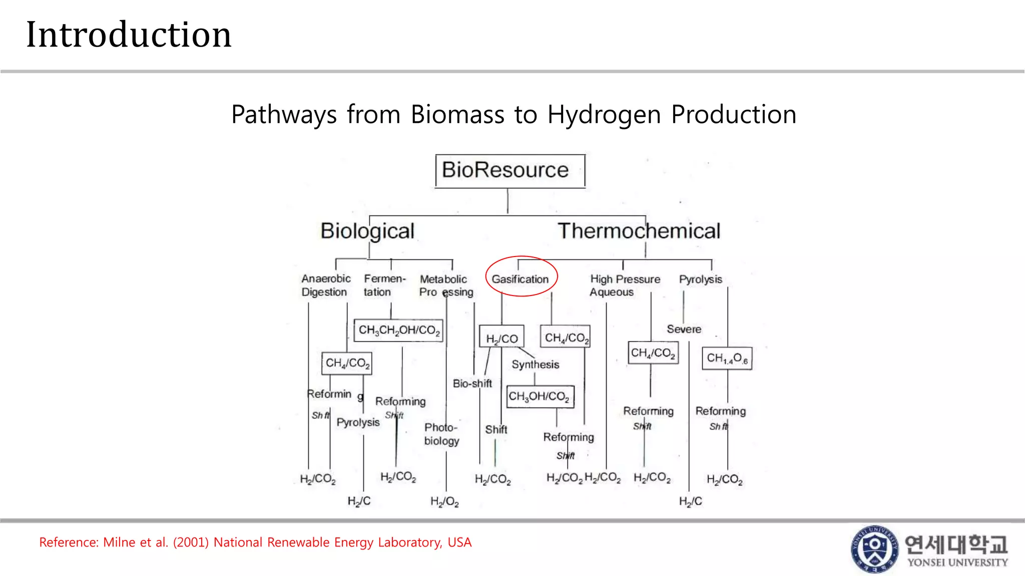 Biomass gasification for hydrogen production | PPTX