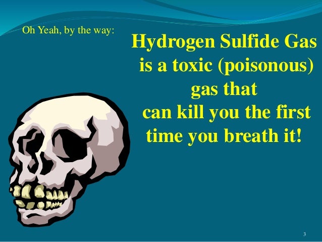 hydrogen sulfide hydrogen sulfide poison