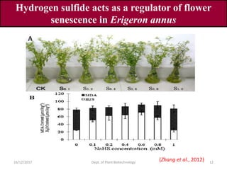 Hydrogen sulfide as multifunctional gaseous molecule | PDF