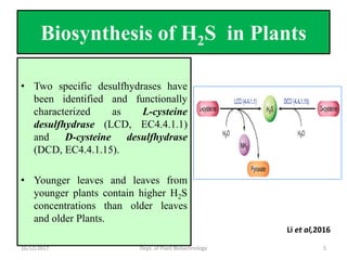 Hydrogen sulfide as multifunctional gaseous molecule | PDF