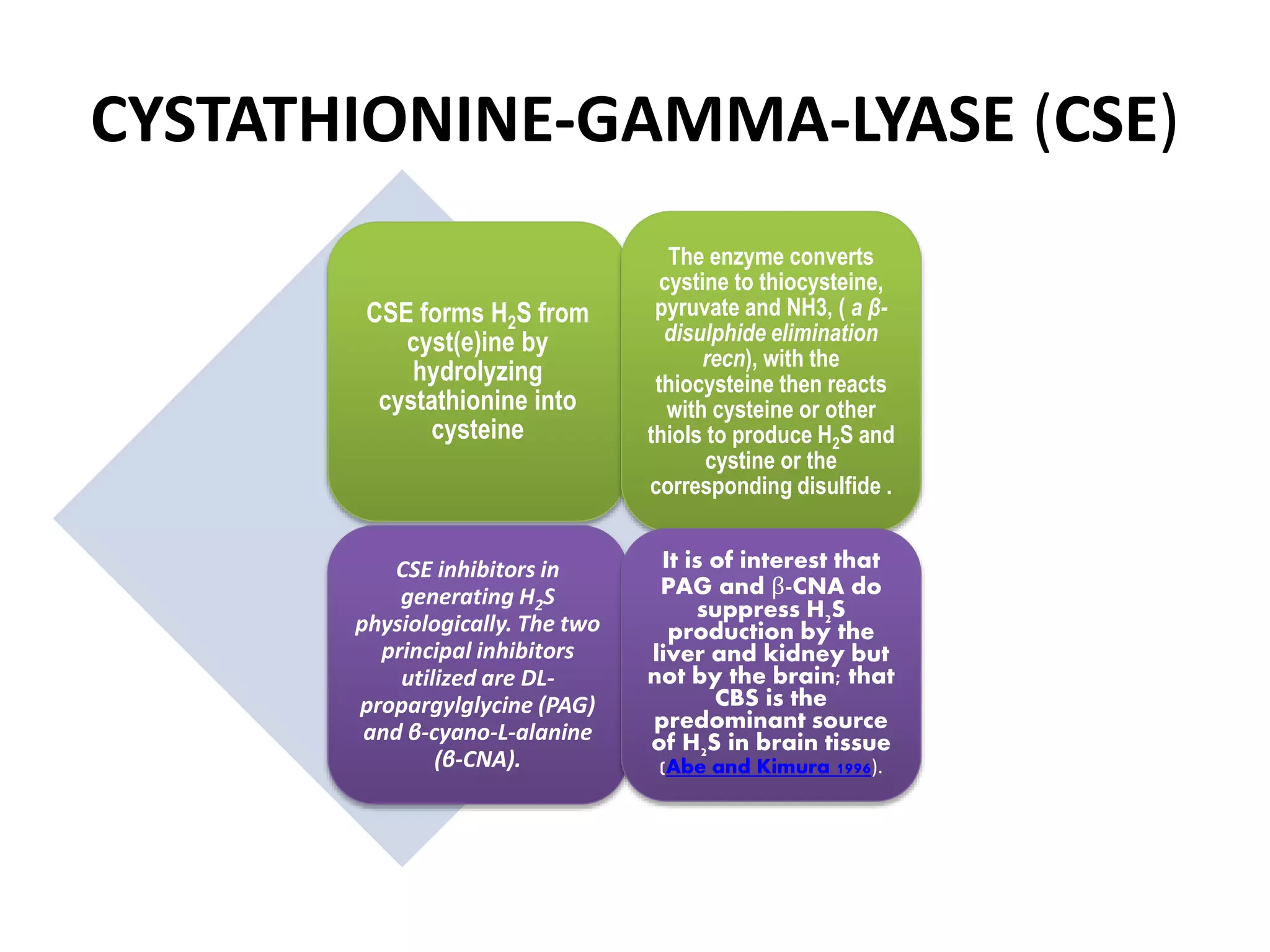 CYSTATHIONINE-GAMMA-LYASE (CSE)
CSE forms H2S from
cyst(e)ine by
hydrolyzing
cystathionine into
cysteine
The enzyme converts
cystine to thiocysteine,
pyruvate and NH3, ( a β-
disulphide elimination
recn), with the
thiocysteine then reacts
with cysteine or other
thiols to produce H2S and
cystine or the
corresponding disulfide .
CSE inhibitors in
generating H2S
physiologically. The two
principal inhibitors
utilized are DL-
propargylglycine (PAG)
and β-cyano-L-alanine
(β-CNA).
It is of interest that
PAG and β-CNA do
suppress H2S
production by the
liver and kidney but
not by the brain; that
CBS is the
predominant source
of H2S in brain tissue
(Abe and Kimura 1996).
 