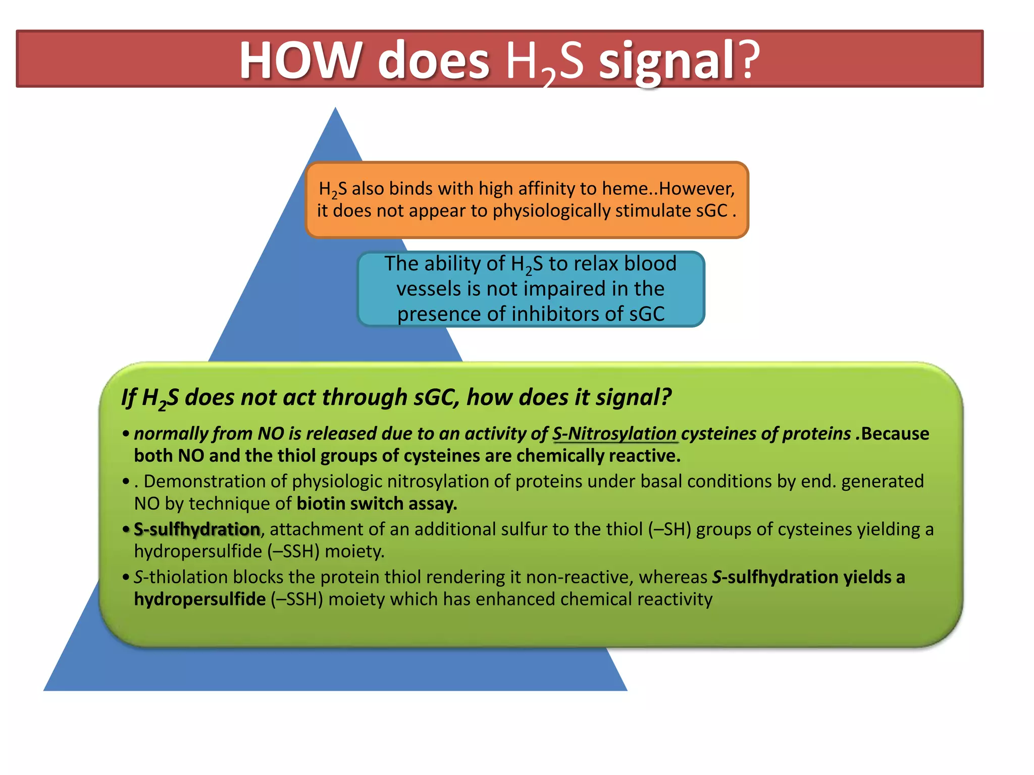 HOW does H2S signal?
H2S also binds with high affinity to heme..However,
it does not appear to physiologically stimulate sGC .
The ability of H2S to relax blood
vessels is not impaired in the
presence of inhibitors of sGC
If H2S does not act through sGC, how does it signal?
•normally from NO is released due to an activity of S-Nitrosylation cysteines of proteins .Because
both NO and the thiol groups of cysteines are chemically reactive.
•. Demonstration of physiologic nitrosylation of proteins under basal conditions by end. generated
NO by technique of biotin switch assay.
•S-sulfhydration, attachment of an additional sulfur to the thiol (–SH) groups of cysteines yielding a
hydropersulfide (–SSH) moiety.
•S-thiolation blocks the protein thiol rendering it non-reactive, whereas S-sulfhydration yields a
hydropersulfide (–SSH) moiety which has enhanced chemical reactivity
 