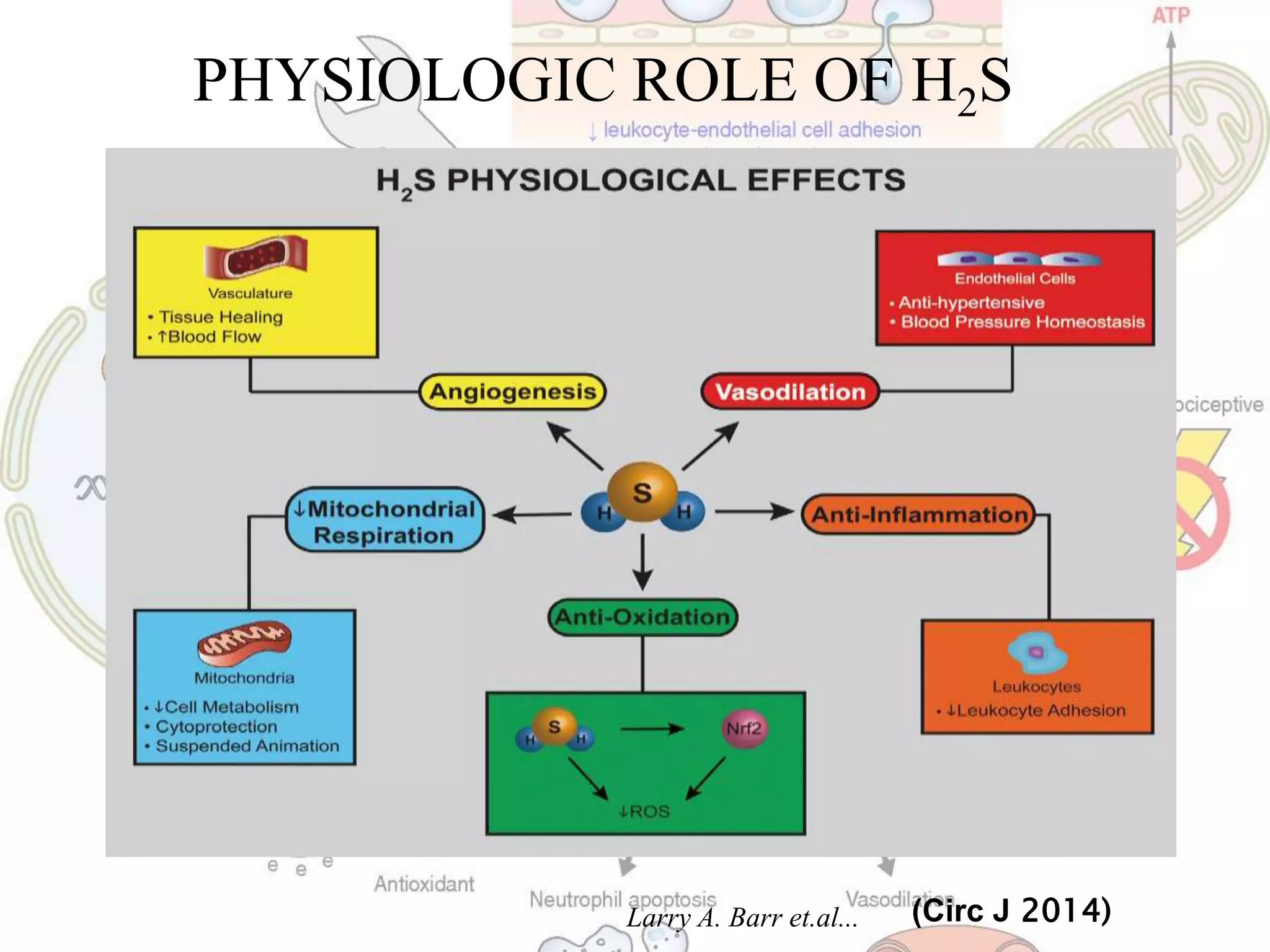 PHYSIOLOGIC ROLE OF H2S
(Circ J 2014)Larry A. Barr et.al...
 