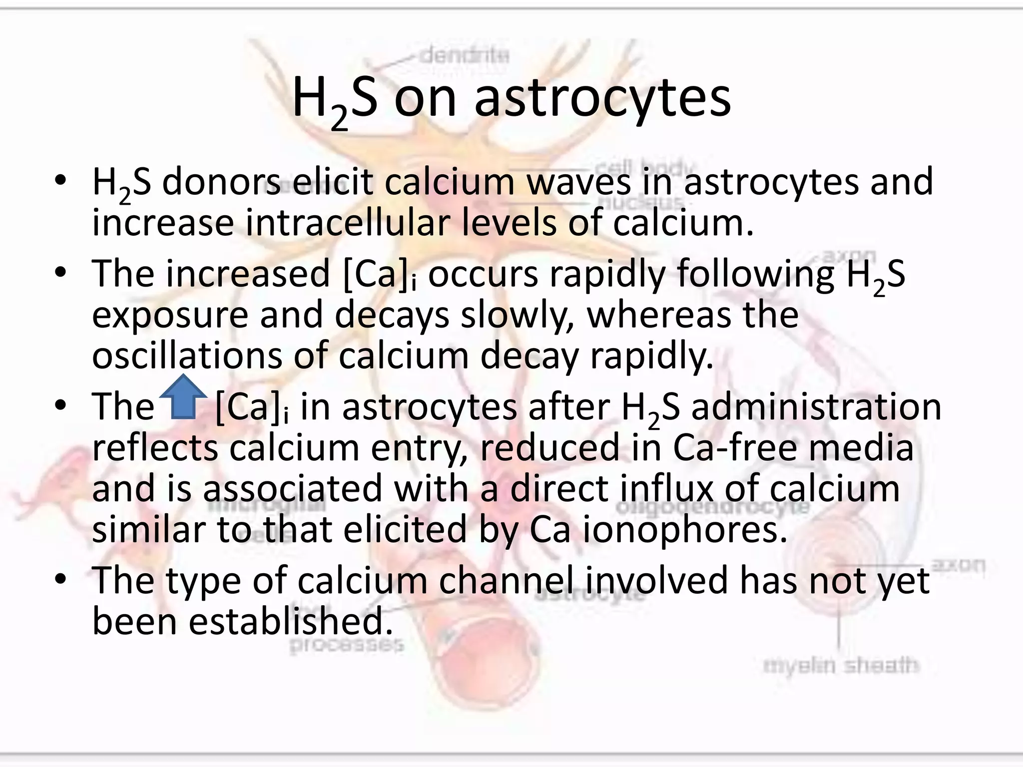 H2S on astrocytes
• H2S donors elicit calcium waves in astrocytes and
increase intracellular levels of calcium.
• The increased [Ca]ᵢ occurs rapidly following H2S
exposure and decays slowly, whereas the
oscillations of calcium decay rapidly.
• The [Ca]ᵢ in astrocytes after H2S administration
reflects calcium entry, reduced in Ca-free media
and is associated with a direct influx of calcium
similar to that elicited by Ca ionophores.
• The type of calcium channel involved has not yet
been established.
 