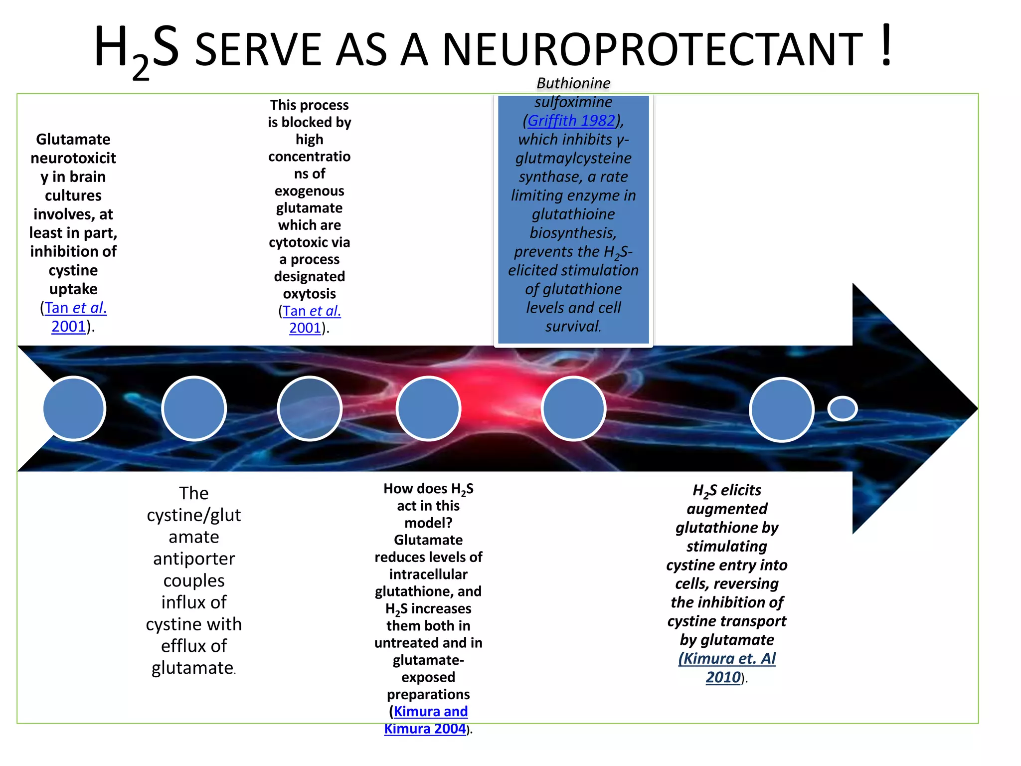 H2S SERVE AS A NEUROPROTECTANT !
Glutamate
neurotoxicit
y in brain
cultures
involves, at
least in part,
inhibition of
cystine
uptake
(Tan et al.
2001).
The
cystine/glut
amate
antiporter
couples
influx of
cystine with
efflux of
glutamate.
This process
is blocked by
high
concentratio
ns of
exogenous
glutamate
which are
cytotoxic via
a process
designated
oxytosis
(Tan et al.
2001).
How does H2S
act in this
model?
Glutamate
reduces levels of
intracellular
glutathione, and
H2S increases
them both in
untreated and in
glutamate-
exposed
preparations
(Kimura and
Kimura 2004).
Buthionine
sulfoximine
(Griffith 1982),
which inhibits γ-
glutmaylcysteine
synthase, a rate
limiting enzyme in
glutathioine
biosynthesis,
prevents the H2S-
elicited stimulation
of glutathione
levels and cell
survival.
H2S elicits
augmented
glutathione by
stimulating
cystine entry into
cells, reversing
the inhibition of
cystine transport
by glutamate
(Kimura et. Al
2010).
 