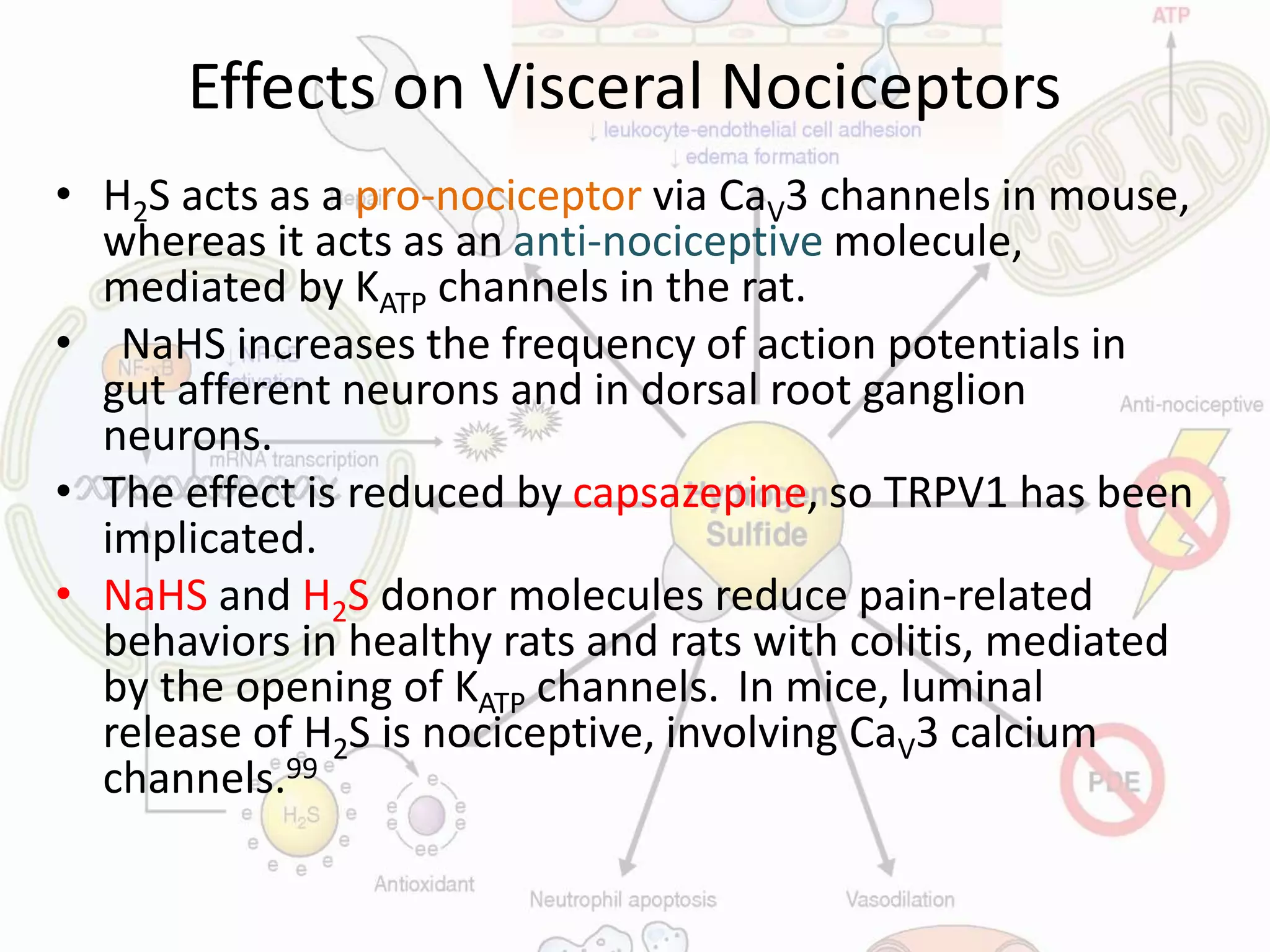 Effects on Visceral Nociceptors
• H2S acts as a pro-nociceptor via CaV3 channels in mouse,
whereas it acts as an anti-nociceptive molecule,
mediated by KATP channels in the rat.
• NaHS increases the frequency of action potentials in
gut afferent neurons and in dorsal root ganglion
neurons.
• The effect is reduced by capsazepine, so TRPV1 has been
implicated.
• NaHS and H2S donor molecules reduce pain-related
behaviors in healthy rats and rats with colitis, mediated
by the opening of KATP channels. In mice, luminal
release of H2S is nociceptive, involving CaV3 calcium
channels.99
 
