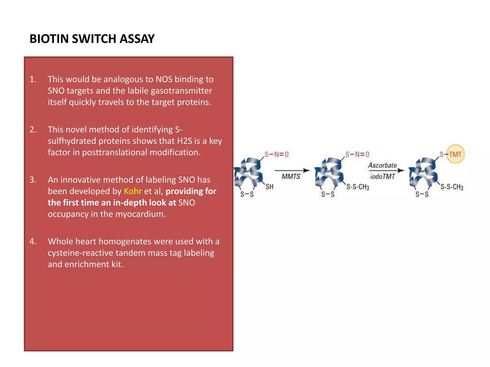 BIOTIN SWITCH ASSAY
1. This would be analogous to NOS binding to
SNO targets and the labile gasotransmitter
itself quickly travels to the target proteins.
2. This novel method of identifying S-
sulfhydrated proteins shows that H2S is a key
factor in posttranslational modification.
3. An innovative method of labeling SNO has
been developed by Kohr et al, providing for
the first time an in-depth look at SNO
occupancy in the myocardium.
4. Whole heart homogenates were used with a
cysteine-reactive tandem mass tag labeling
and enrichment kit.
 