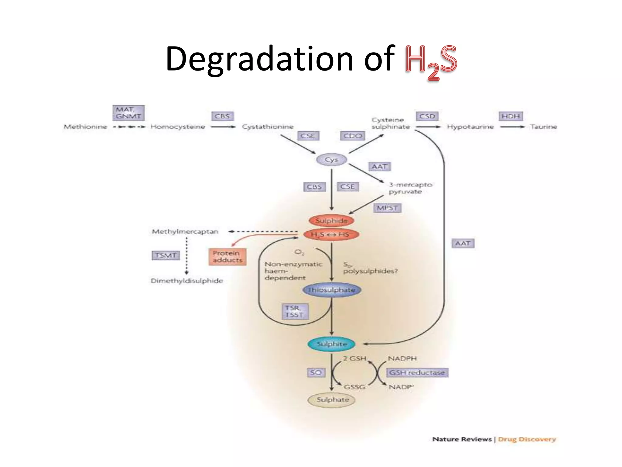 Degradation of
 