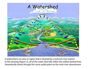 A watershed is an area or region that is drained by a common river system.
In this drawing (Figure 1), all of the water that falls within the yellow dashed lines
theoretically drains through the same outlet point on the main river downstream
 