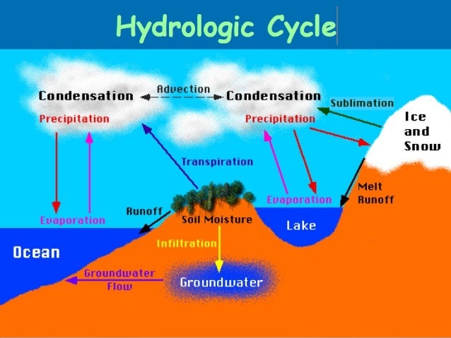 Hydrologic cycle and field water balance