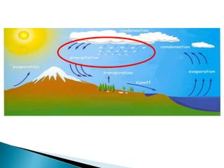 Hydrological cycle