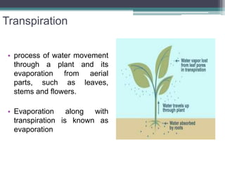 Transpiration
• process of water movement
through a plant and its
evaporation from aerial
parts, such as leaves,
stems and flowers.
• Evaporation along with
transpiration is known as
evaporation
 
