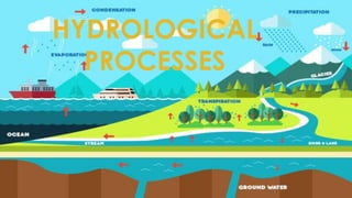 Comprehensive Overview of Hydrological Processes and the Water Cycle | PDF