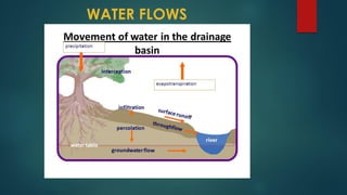 Comprehensive Overview of Hydrological Processes and the Water Cycle | PDF