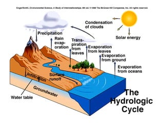 components of the Earth SYSTEMLithosphere:  the solid Earth; landHydrosphere:  the liquid Earth; waterAtmosphere:  the gaseous Earth; airOrganisms:  living thingsCryosphere:  frozen or solid water such as ice caps, glaciers, snow and permafrost