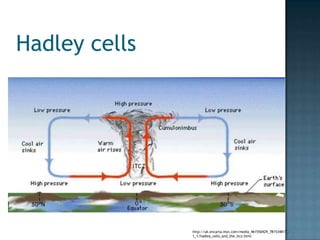 Hydrologic cycle & climateHot airrises