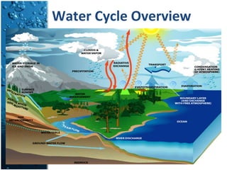 Water Cycle Overview 