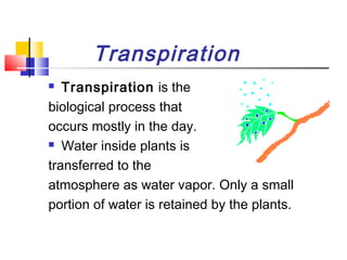 Hydrologic cycle | PPT