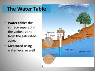The Water Table 
• Water table: the 
surface separating 
the vadose zone 
from the saturated 
zone. 
• Measured using 
water level in well 
 