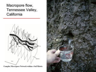 Macropore flow, Tennessee Valley, California 