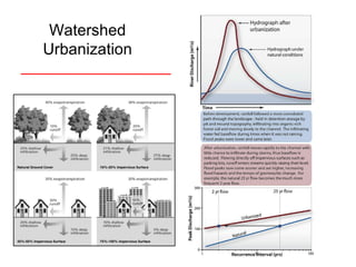 Watershed Urbanization 