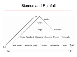 Biomes and Rainfall 