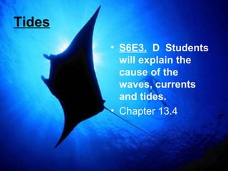 Tides
• S6E3. D Students
will explain the
cause of the
waves, currents
and tides.
• Chapter 13.4

 