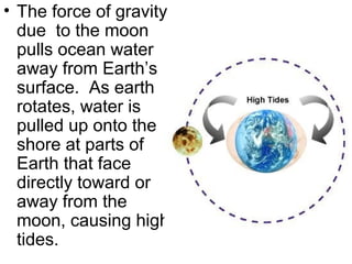 • The force of gravity
due to the moon
pulls ocean water
away from Earth’s
surface. As earth
rotates, water is
pulled up onto the
shore at parts of
Earth that face
directly toward or
away from the
moon, causing high
tides.

 