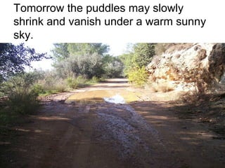 Tomorrow the puddles may slowly
shrink and vanish under a warm sunny
sky.

 