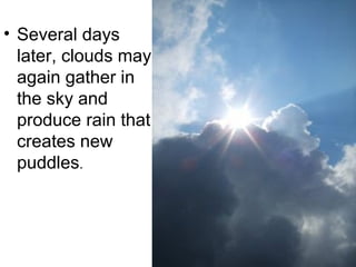 • Several days
later, clouds may
again gather in
the sky and
produce rain that
creates new
puddles.

 