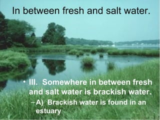 In between fresh and salt water.

• III. Somewhere in between fresh
and salt water is brackish water.
– A) Brackish water is found in an
estuary

 