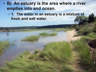 • B) An estuary is the area where a river
empties into and ocean.
– 1. The water in an estuary is a mixture of
fresh and salt water.

 