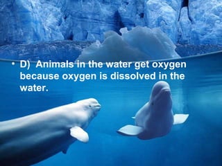 • D) Animals in the water get oxygen
because oxygen is dissolved in the
water.

 