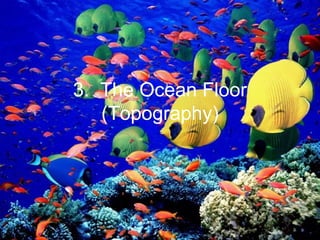 3. The Ocean Floor
(Topography)

 