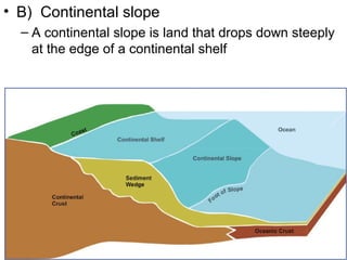 • B) Continental slope
– A continental slope is land that drops down steeply
at the edge of a continental shelf

 