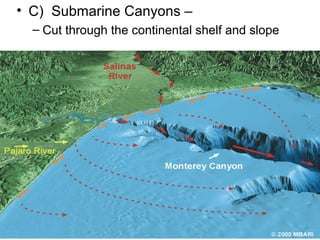 • C) Submarine Canyons –
– Cut through the continental shelf and slope

 