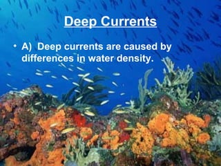 Deep Currents
• A) Deep currents are caused by
differences in water density.

 