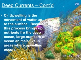 Deep Currents – Cont’d
• C) Upwelling is the
movement of water up
to the surface. Because
this process brings up
nutrients fro the deep
ocean, large numbers of
ocean animals live in
areas where upwelling
occurs.

 