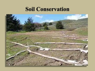 Soil Conservation
 