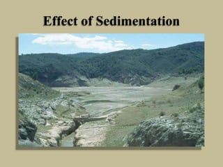 Effect of Sedimentation
 