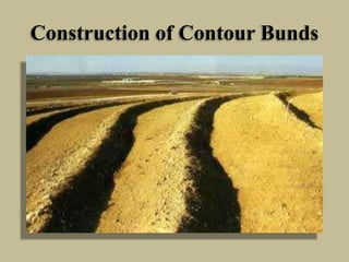Construction of Contour Bunds
 