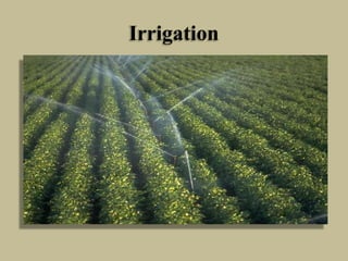 Irrigation
 