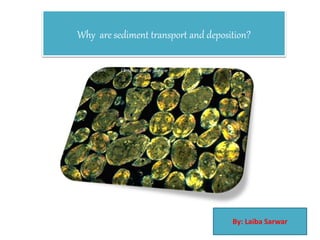 Why are sediment transport and deposition?
By: Laiba Sarwar
 