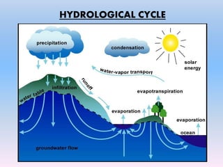 HYDROLOGICAL CYCLE
 