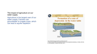 The impact of agriculture on our
water supply
Agriculture is the largest user of our
water supply. Farmers use
groundwater to irrigate crops, which
can lead to aquifer depletion.
https://dr282zn36sxxg.cloudfront.net/datastreams/f-
d:1ff6a33744edb29849414eaedaff8a61e691af61c1e027d0d620f2e2%2BIMAGE_THUMB_POSTCAR
D_TINY%2BIMAGE_THUMB_POSTCARD_TINY.1
 