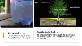 Condensation: the
process whereby a substance
changes from a gas to a liquid
Percolation/Infiltration:
the movement of water through the soil as water
falls onto the earth. This leads to the recharge of
groundwater
https://upload.wikimedia.org/wikipedia/commons/thumb/d/d8/Condensation_on_water_bottle.jpg/1200px-
Condensation_on_water_bottle.jpg
https://upload.wikimedia.org/wikipedia/commons/thumb/e/e2/Stormwater_Management_with_trees.webm/1280px--Stormwater_Management_with_trees.webm.jpg
 